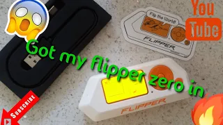 Got my flipper zero in (507)