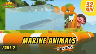 Marine Animals (Part 2/2) - Electric Eel and more ocean animal stories!