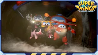 [SUPERWINGS Ranking Show] Protect the Animals! | Top5 EP40 | Superwings | Super Wings