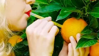 22 BRILLANTE OBST HACKS