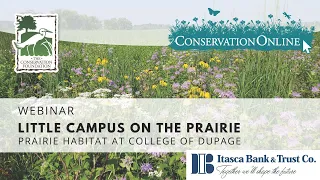 Little Campus on the Prairie