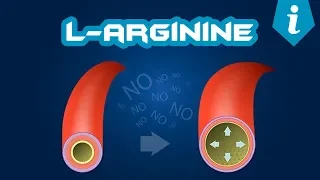 Аргинин (L-Arginine). Для чего он нужен?