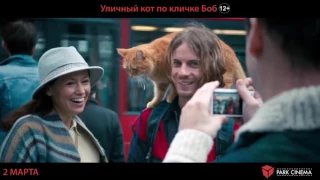 Уличный кот по кличке Боб