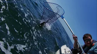 Coastal Salmon Fishing In Oregon With Underwater Footage