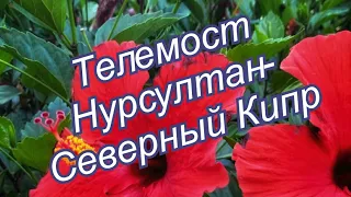 Как во время перемен и перестройки всего найти свою тихую гавань. Телемост Нурсултан - Сев. Кипр.Ч2