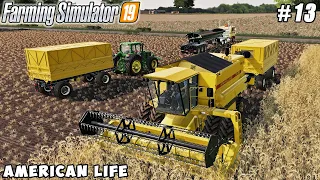 Upgrade cow farm, harvester w/ straw chopper | American life farming | Farming simulator 19 | ep #13