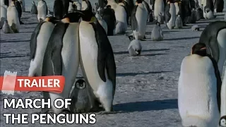 March of the Penguins 2005 Trailer HD | Documentary | Morgan Freeman