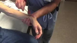 Myelopathy with Hoffman's and inverted brachioradialis