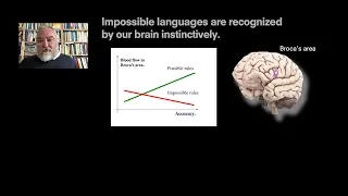 Andrea Moro | Human Brains video lecture