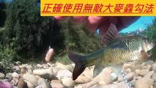 【景美溪石碇段】雙分流下切路徑@如何正確使用無敵大麥蟲勾法[下集]