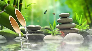 Relaxing Zen Music, Stress Relief Music, Sleep Music, Meditation Music, Study, Nature Sounds, Bamboo