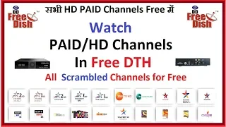 HD/Paid/Scrambled Channels on Free DTH Box