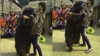 MAN Vs BEAR COMPILATION  || WHILE ENTERTAINING  CHILDRENS IN THE CROWD || GREEN GLITZ ||