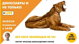 Занятие "Без кота эволюция не та!" кружка "Динозавры и не только" с Ярославом Поповым
