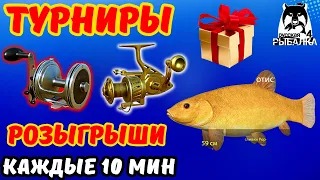 СТРИМ РР4 🎁 РОЗЫГРЫШИ ПРЕМОВ И ЗОЛОТА 🎁 В РУЛЕТКЕ - КАТУШКИ, ЗОЛОТО, ПРЕМЫ 🎁 МОРЕ ТУРНИРЫ 👍 DUM_