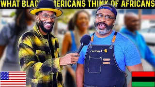 🇺🇸🇲🇼What Black Americans Think of Africans? *Too REAL for T.V!*