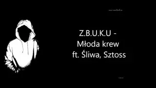 ZBUKU ft. Śliwa, Sztoss - Młoda krew_tekst