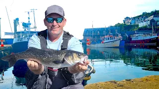 INCREDIBLE Results With These Lures! | Bass Fishing In Cornwall