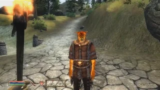 ЖИЗНЬ ИЛИ КОШЕЛЕК? Tes IV Oblivion