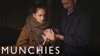 Steak, Cider, & Baby Piglets: MUNCHIES Guide to the Basque Country (Episode 3)