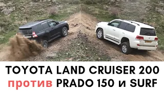 2019 Toyota Land Cruiser 200 против Тойота Ленд Крузер Прадо 150 и Сурф