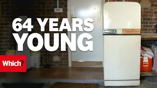 Vintage fridge vs modern: built to last? - Which?