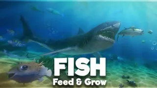 fish fed and grow android mod apk