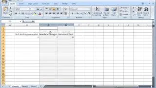 Microsoft Excel 2010 & 2007 Training Tutorial - AutoFit