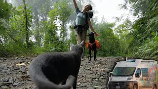 We took our CAT BACKPACKING in COLOMBIA for 20 MILES! #vanlife #panamericanhighway