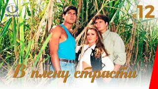 В ПЛЕНУ СТРАСТИ / Cañaveral de pasiones (12 серия) (1997) сериал