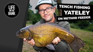 TENCH FISHING ON METHOD FEEDER