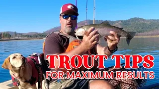 Trout Fishing Tips and Techniques (Mistakes To Avoid)