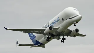 Airbus Beluga XL Landing at Taking off from Chester Hawarden Airport