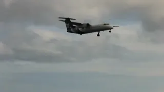 A Windy landing at Wellington