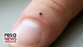 What more can be done to treat Lyme disease and its potential long-term effects