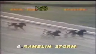 1984 Yonkers Raceway RAMBLIN STORM  2YO NYSS Carmine Abbatiello