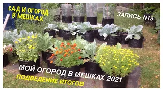 МОЙ ОГОРОД В МЕШКАХ 2021. Подведение ИТОГОВ. Запись №13.