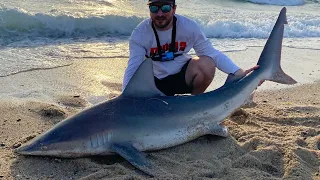 Catching And Tagging A GIANT Brown Shark - We Thought It Came Off!! Massachusetts Shark Fishing (4K)