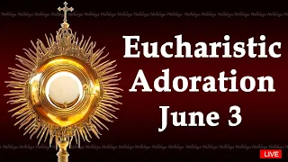 Powerful Eucharistic Adoration I Monday June 3 2024 I 3.00 Pm