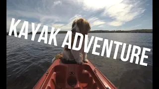 DOG KAYAKING ADVENTURE