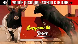 ⚡️ ACONTECIMIENTO IMPACTANTE ⚡️ Toros en VINARÒS (Especial GREGORIO DE JESÚS con sus mejores reses)