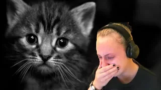 ЗАПЛАКАЛ? ПРОИГРАЛ! | ПOПРОБУЙ НЕ ЗАПЛАКАТЬ ЧЕЛЛЕНДЖ | TRY NOT OT CRY CHALLENGE