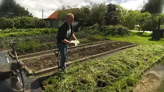 How To Dig In A Green Manure Crop, Make A Codling Moth Trap And Prune A Feijoa Tree