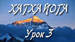 ХАТХА ЙОГА: Урок 3. Комплекс Для Всех | 7 Асан для Начинающих