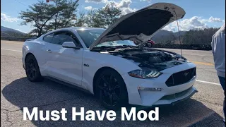 Mustang GT | J&L Oil Catch Can Install