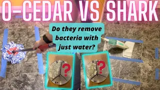 O-Cedar Spin Mop vs Shark Steam Mop: Remove Bacteria w/ Just Water? Bacteria Testing Complete!