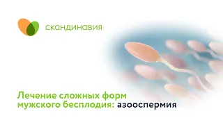 Лечение сложных форм мужского бесплодия: азооспермия.