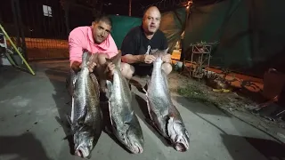 Pesca de corvina negra. Piedra de los Vidaleros Mar Chiquita