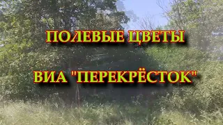 Полевые цветы - кавер ВИА Перекрёсток