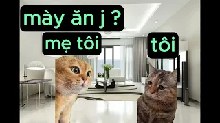 một ngày bình thường của tôi (phần 2)